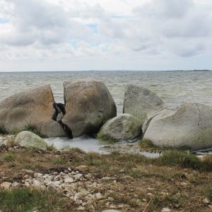 Kivid Kõrgessaare rannal